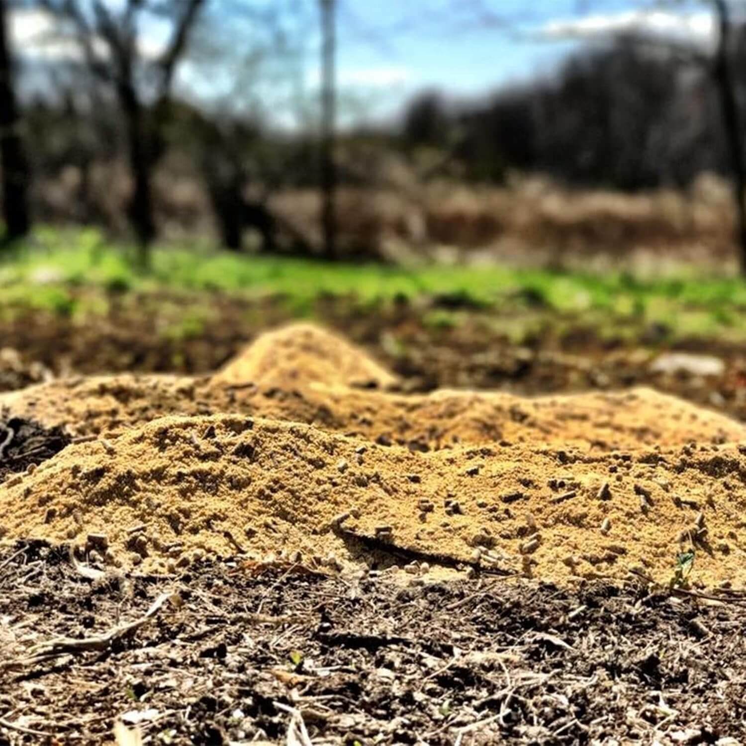 Muddy Creek Supplements