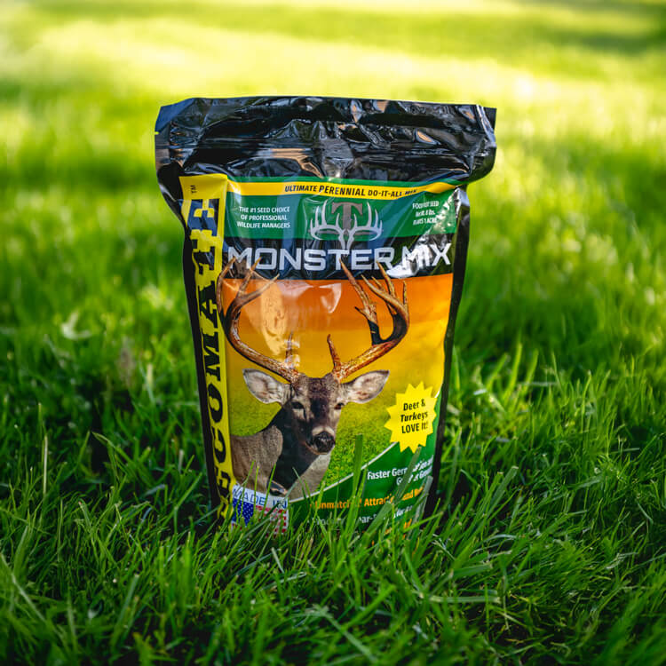 Muddy Creek Food Plots - Muddy Creek Whitetails LLC Muddy Creek Food Plots